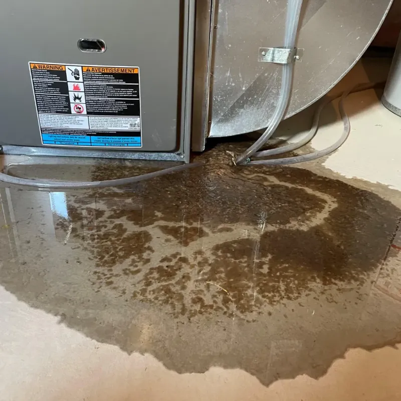 Appliance Leak Cleanup in Pearl River, LA